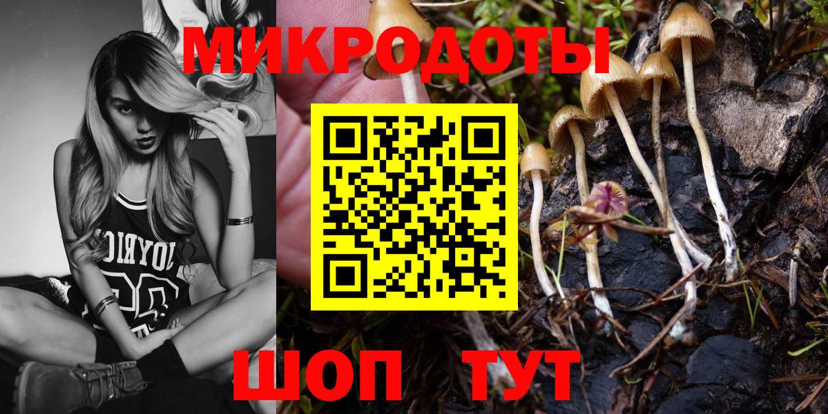 Видное  Галлюциногенные грибы мухоморы  Вход с VPN 
